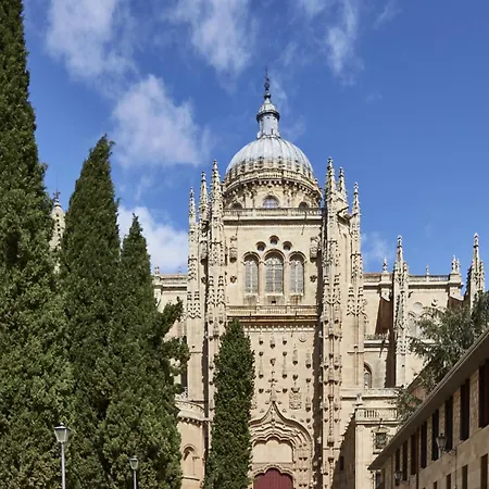 Апартаменты Plushomes | El Patio De La Catedral